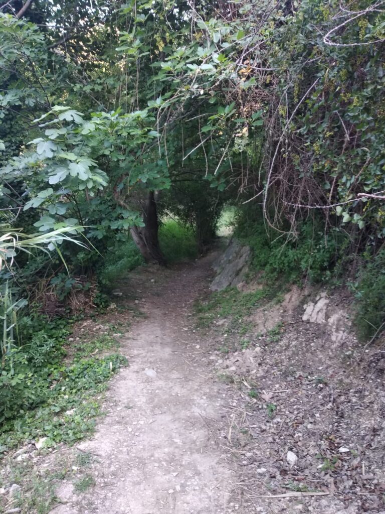 Precioso alojamiento rural en Sot de Chera